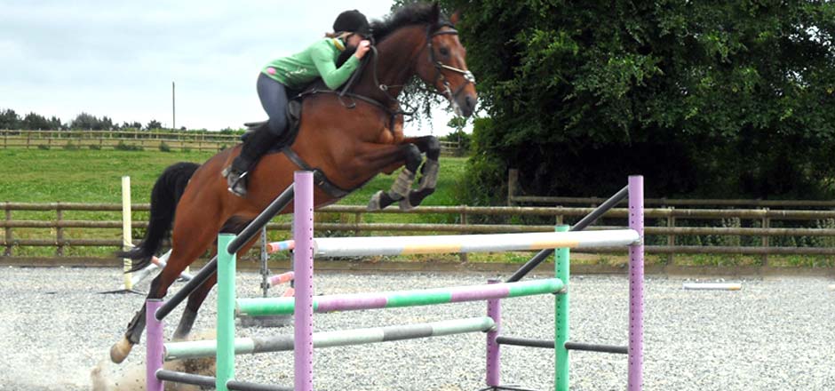 Sky is the limit at Sillaton Farm Stables